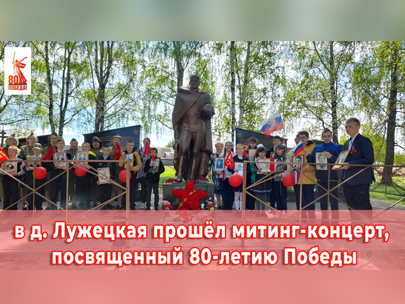 Митинг в д. Лужецкая.