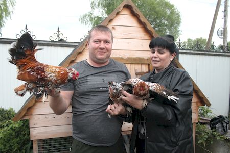 И пух, и перья….