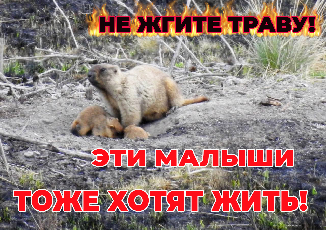 Осторожно пожары!.