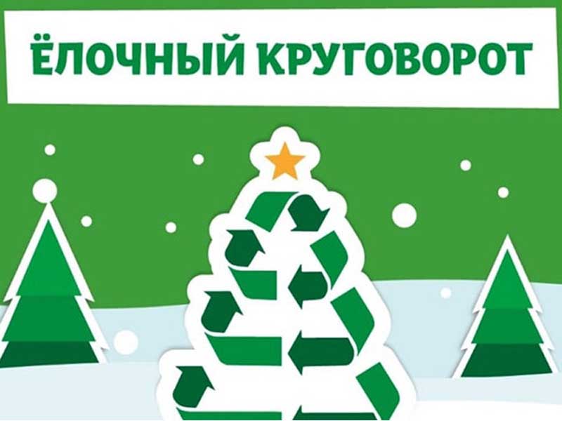 ЕЛОЧНЫЙ КРУГОВОРОТ.