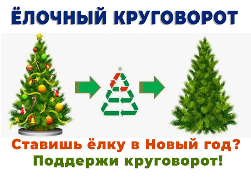 По следам праздника.