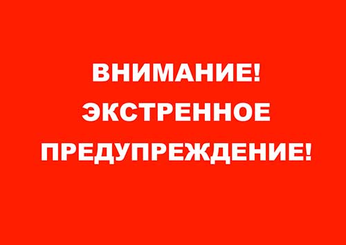 Ливни с грозами, град, порывы ветра 15-20 м/с на территории Брянской области 12 июля 2025 года..
