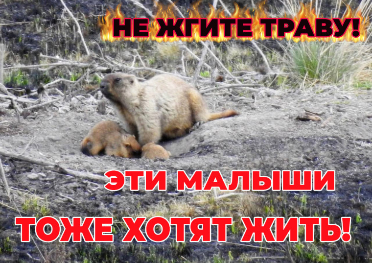 Осторожно пожары!. Осторожно пожары!.